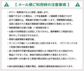 ３営業日出荷！名入れ刺繍ボールクリーナー 吸水マイクロファイバー 選べる定型文字＋お名前１行 メール便送料無料 画像