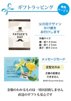 父の日 名入れゴルフギフトセット(名入れタオル・名入れゴルフボール4球)ラッピング無料画像