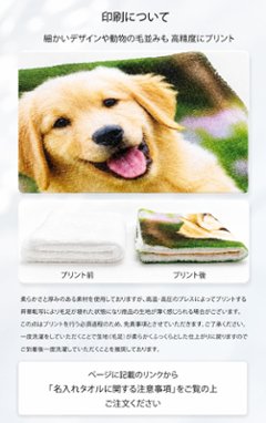 最短即日出荷！名入れタオル 大判フェイスタオル 約34×84cm/応援タオル/写真タオル/チームタオル メール便送料無料画像