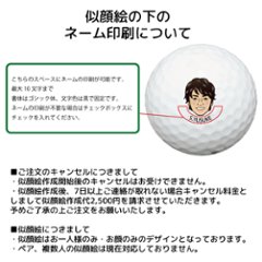最短即日出荷! 名入れ ゴルフボール ブリヂストン PHYZ ファイズ 2019年モデル PPK 12球 写真 ロゴ 似顔絵 印刷対応画像
