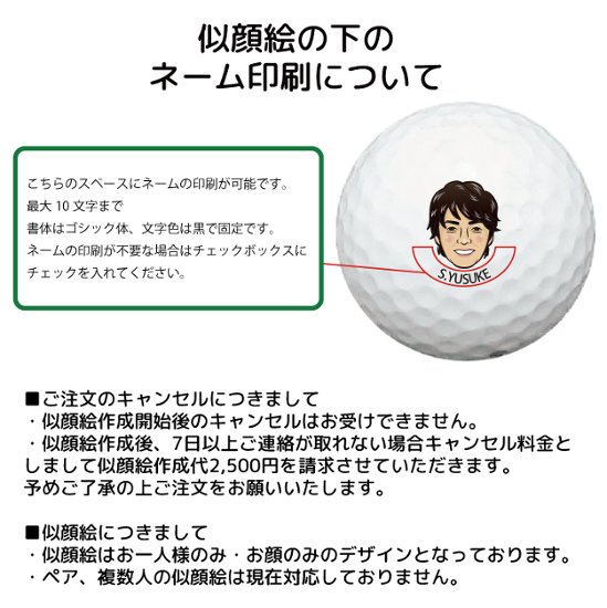 最短即日出荷! 名入れ ゴルフボール ブリヂストン PHYZ ファイズ 2019年モデル PPK 12球 写真 ロゴ 似顔絵 印刷対応画像