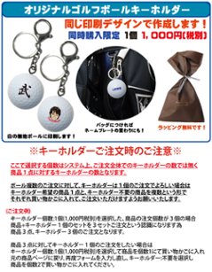 最短即日出荷! 名入れ ゴルフボール ブリヂストン PHYZ ファイズ 2019年モデル PPK 12球 写真 ロゴ 似顔絵 印刷対応画像