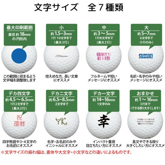 最短即日出荷! 名入れ ゴルフボール ブリヂストン PHYZ ファイズ 2019年モデル PPK 12球 写真 ロゴ 似顔絵 印刷対応画像