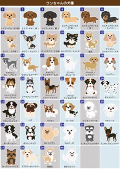 最短即日出荷！犬用迷子札 ネックチャーム ワンちゃんイラスト入り 名入れ無料 ギフトラッピング無料 メール便送料無料画像