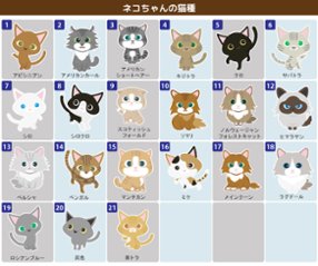 最短即日出荷！猫用迷子札 ネックチャーム ネコちゃんイラスト入り 名入れ無料 ギフトラッピング無料 メール便送料無料画像