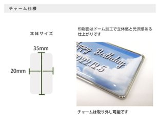 オリジナル名入れデザインチャーム付き ゴルフ ボールポーチ ボールケース C-125 シルバー AC1463　即日出荷対応 名入れ無料 父の日 誕生日 プレゼント ギフトラッピング無料画像