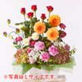 の画像