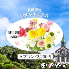 はななび宅配便【3月1回】1週目お届けの画像