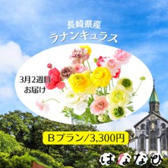 はななび宅配便【3月1回】2週目お届けの画像