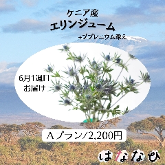 はななび宅配便【6月1回】1週目お届けの画像