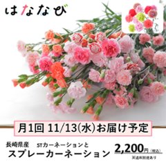 はななび宅配便【11月1回】2週目お届け画像