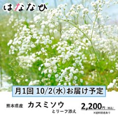 はななび宅配便【10月1回】1週目お届け画像