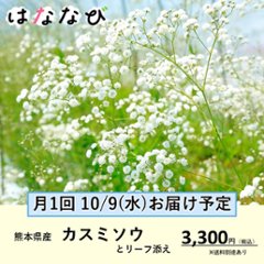 はななび宅配便【10月1回】2週目お届け画像