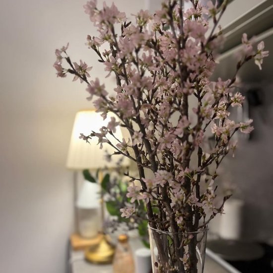 さくらさくブーケ（山形県産 啓翁桜）画像