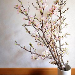 さくらさくブーケ（山形県産 啓翁桜）画像