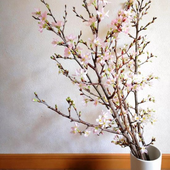 さくらさくブーケ（山形県産 啓翁桜）画像