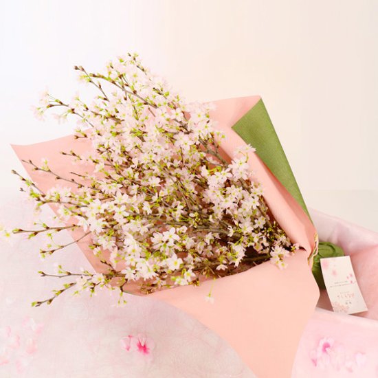 さくらさくブーケ（山形県産 啓翁桜）画像