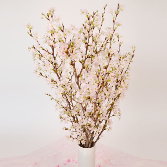 さくらさくブーケ（山形県産 啓翁桜）画像
