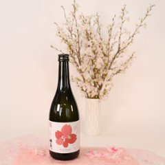 さくらなび 【啓翁桜×杵の川の春　日本酒（大吟醸）】 セット画像