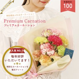 【2026母の日】プレミアムカーネーションの画像