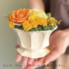 【2026母の日】チェレステの画像