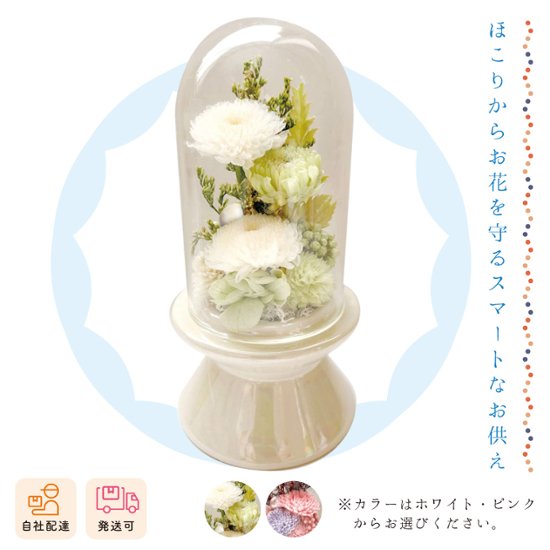 【夏ギフト2026】クリント（一個）画像