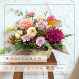 【敬老の日ギフト】ワンサイドアレンジ紫苑 -SHION-の画像