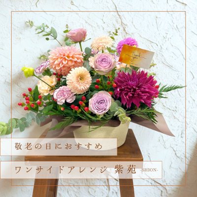 【敬老の日ギフト】ワンサイドアレンジ紫苑 -SHION-の画像