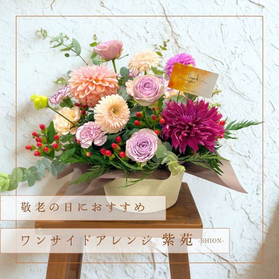 【敬老の日ギフト】ワンサイドアレンジ紫苑 -SHION-画像