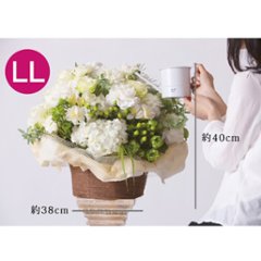 ラウンド アレンジ LL【レッド】画像