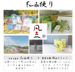 Fu-do便り　1年12回分【年１０回旬菜定期便 ×農園体験 Noraチケット2枚】★毎月第三／四土曜発送★　送料込の画像