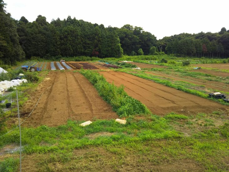 農園でゆっくり野菜収穫（４～６品目）＆畑キッチン使い放題　Noraチケット　3回分　★毎週金曜日OPEN★　画像