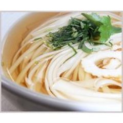 氷見糸うどん〔太めん〕４本・特製つゆ画像