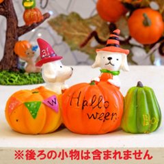 ハロウィン　ウィッチドッグハーヴェスト画像