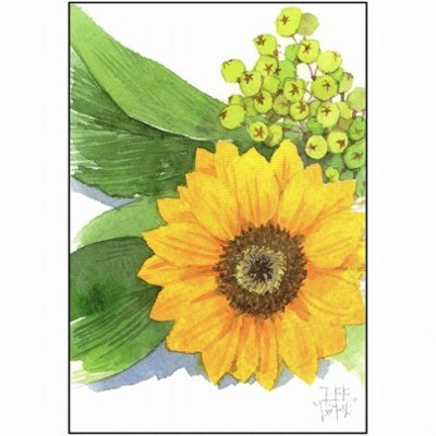 三好貴子 ポストカード（向日葵）の画像