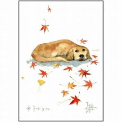 三好貴子 ポストカード（紅葉と犬）の画像