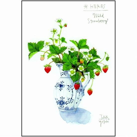 【激レア全巻セット】ドッキン美奈子先生 わたなべわたるポストカード付き！ お渡し会参加券付受注生産】The Sound of Sister's Step