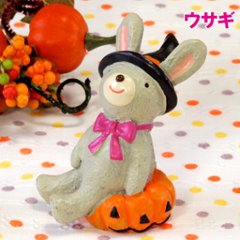 ノーティー　ハッピーハロウィン画像