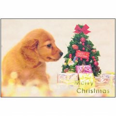 クリスマス　ポストカード（犬）　CMP-268の画像