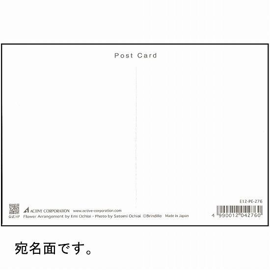 落合恵美 フラワーポストカード PE-276画像