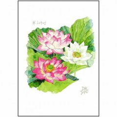 三好貴子 ポストカード（Lotus）の画像