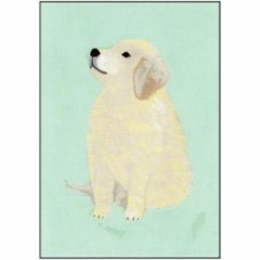 ひらいみも 犬ポストカード WA-0276の画像