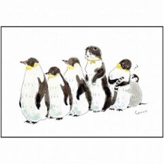 トコロコムギ ポストカード（ペンギン大集合）の画像