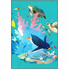 菜生　ポストカード（スイスイおいかけっこ）の画像