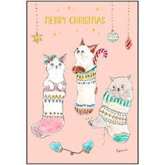 トコロコムギ ポストカード（クリスマスくつ下にゃんこ）の画像