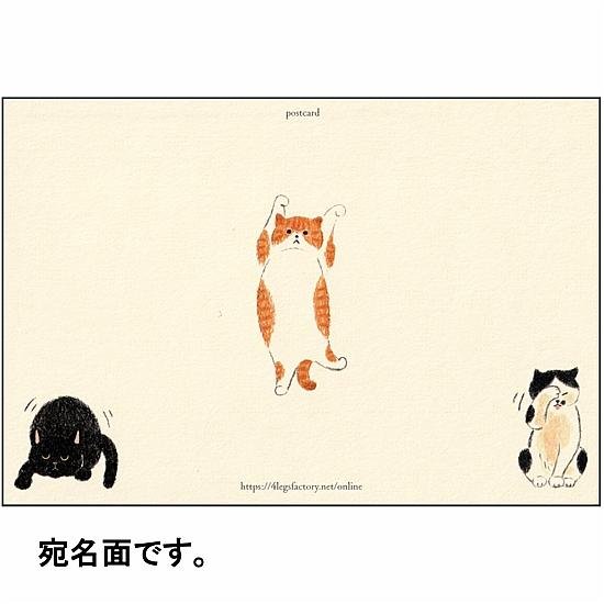 4legs ポストカード（猫が好き）画像