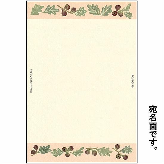 絵本の中のねこ ポストカード（スコティッシュとイチジク）画像