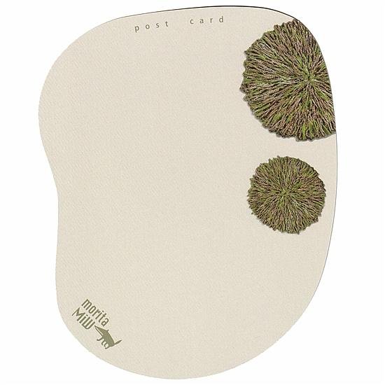 moritaMiW　ポストカード（熊のドー）画像