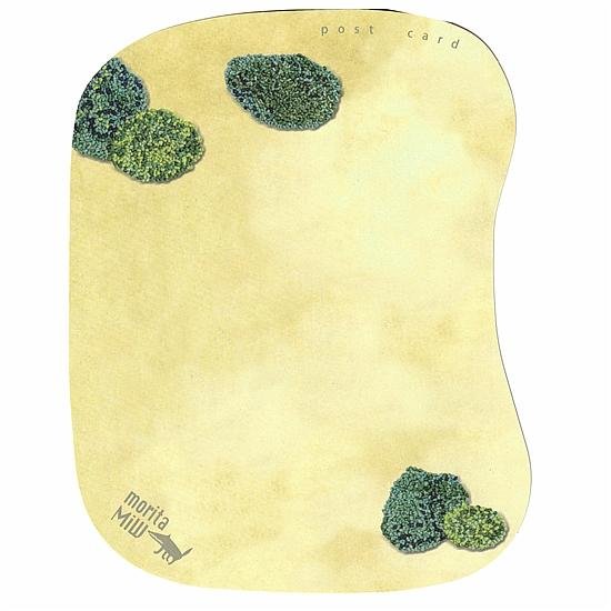 moritaMiW　ポストカード（空地のロンド）画像