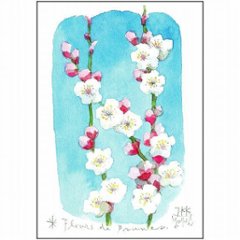 三好貴子 ポストカード（梅の花）の画像